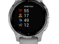 Garmin vivoactive 4S (Grau)