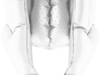 Krups CF 6000 Schwebehaube