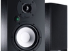 Magnat Multi Monitor 220 / Paar (schwarz)
