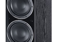 Magnat Signature 507 /Stück (Schwarz)