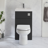 2-in-1-Waschbecken- und WC-Element 500mm x 890mm mit Covelly-WC inkl. Spülknopf in Chrom Schwarzgrau - Cluo