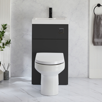 2-in-1-Waschbecken- und WC-Element 500mm x 890mm mit Covelly-WC inkl. Spülknopf in Schwarz Schwarzgrau - Cluo
