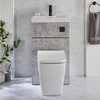 2-in-1-Waschbecken- und WC-Element 500mm x 890mm mit Sandford-WC inkl. Spülknopf in Schwarz Steingrau - Cluo
