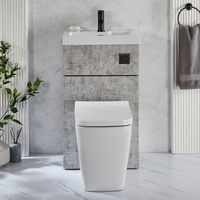2-in-1-Waschbecken- und WC-Element 500mm x 890mm mit Sandford-WC inkl. Spülknopf in Schwarz Steingrau - Cluo