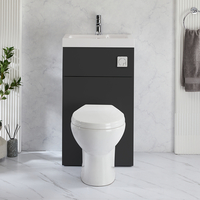 2-in-1-Waschbecken- und WC-Element 500mm x 890mm mit Select-WC inkl. Spülknopf in Chrom Schwarzgrau - Cluo