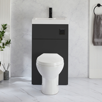 2-in-1-Waschbecken- und WC-Element 500mm x 890mm mit Select-WC inkl. Spülknopf in Schwarz Schwarzgrau - Cluo