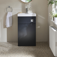 2-in-1-Waschbecken- und WC-Element 500mm x 890mm (ohne WC) Farbe wählbar - Cluo