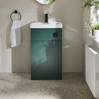 2-in-1-Waschbecken- und WC-Element 500mm x 890mm (ohne WC) Dunkelgrün inkl. einem Spülknopf in Schwarz - Cluo