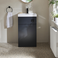 2-in-1-Waschbecken- und WC-Element 500mm x 890mm (ohne WC) Schwarzgrau inkl. einem Spülknopf in Schwarz - Cluo