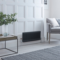 Anthrazit- Traditioneller Gliederheizkörper (2-Säulen) Horizontal 300mm x 785mm - Regent von Hudson Reed