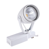 Biard 12W LED Schienenstrahler Weiß