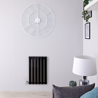 Design Heizkörper Elektrisch Horizontal Einlagig Schwarz 635mm x 420mm inkl. ein 400W Heizelement - Delta