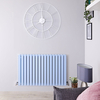 Design Heizkörper Horizontal Babyblau 635mm x 1000mm 1587W (doppellagig) - Sloane