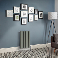 Design Heizkörper Horizontal (Doppellagig) 635mm x 420mm Grün (Sage Leaf Green) - Delta