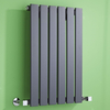 Design Heizkörper Klein 635mm x 420mm 376W Einlagig Anthrazit - Delta von Hudson Reed
