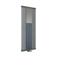 Design Heizkörper mit Spiegel Vertikal 170 x 64cm Mittelanschluss Einlagig Steingrau - Lublin von Hudson Reed