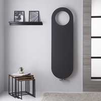 Design Heizkörper Mittelanschluss Anthrazit 1595mm x 490mm 729W - Atrani