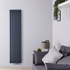 Design Heizkörper Mittelanschluss Anthrazit Vertikal 1600x354mm 2-lagig,  Hudson Reed
