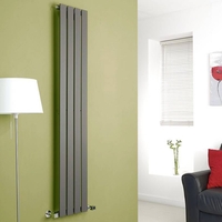 Design Heizkörper Vertikal 160x28cm Schmal 586W Einlagig Anthrazit - Delta von Hudson Reed
