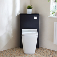 Eck-Spülkastenverkleidung (Schwarzgrau) mit Milton-WC inkl. einem Spülknopf in Chrom - Cluo