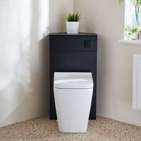 Eck-Spülkastenverkleidung (Schwarzgrau) mit Milton-WC inkl. einem Spülknopf in Schwarz - Cluo