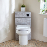 Eck-Spülkastenverkleidung (Steingrau) mit Covelly-WC inkl. einem Spülknopf in Schwarz - Cluo