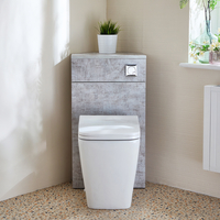 Eck-Spülkastenverkleidung (Steingrau) mit Milton-WC inkl. einem Spülknopf in Chrom - Cluo