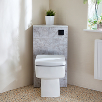 Eck-Spülkastenverkleidung (Steingrau) mit Sandford-WC inkl. einem Spülknopf in Schwarz - Cluo