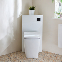 Eck-Spülkastenverkleidung (Weiß) mit Milton-WC inkl. einem Spülknopf in Schwarz - Cluo