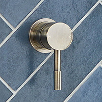 Einhebelmischer Duscharmatur Unterputzmontage,  Antikes Messing/Gold Finish - Mont Hudson Reed