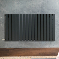 Elektrischer Design-Heizkörper - Horizontal - 635mm x 1190mm zur Festverdrahtung ohne Thermostat Anthrazit - Delta - ECOSO von Hudson Reed