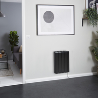 Elektrischer Wandheizkörper mit Keramikkern,  1000W,  570mm x 444mm,  Graphit Farbton - Kera Hudson Reed