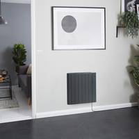 Elektro-Konvektor zur Wandmontage mit Stecker,  in Anthrazit - 1200W,  533mm x 733mm - Virtus Hudson Reed