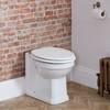 Erhöhtes Stand WC,  Toilettensitz in Weiß mit Scharniere in gebürstetem Gold - Richmond Hudson Reed