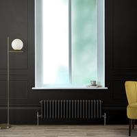 Gliederheizkörper (2-säulig),  horizontal - H 300mm x B 1010mm x T 68mm - Schwarz (Midnight Black) – Regent