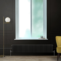 Gliederheizkörper (2-säulig),  horizontal - H 300mm x B 1505mm x T 68mm - Schwarz (Midnight Black) – Regent