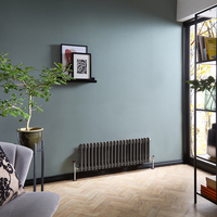 Gliederheizkörper (2-säulig),  horizontal 300mm x 1010mm Zinn - Regent