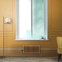 Gliederheizkörper (2-säulig),  horizontal 300mm x 605mm Gelb (Autumn Yellow) - Regent