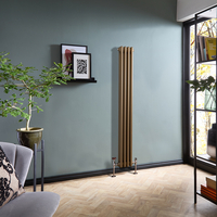 Gliederheizkörper (2-säulig),  vertikal 1500mm x 200mm Metallische Bronze - Regent