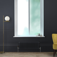 Gliederheizkörper (3-Säulen),  horizontal 300mm x 785mm - Dark Charcoal – Regent