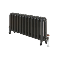 Gusseisen-Heizkörper - 560mm x 983mm,  1406W - Schwarz - Erté