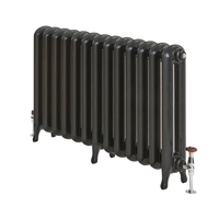 Gusseisen-Heizkörper - 760mm x 1062mm,  1552W - Schwarz - Erté