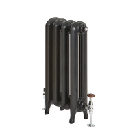 Gusseisen-Heizkörper - 760mm x 351mm,  478W - Schwarz - Erté