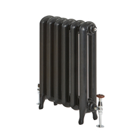 Gusseisen-Heizkörper - 760mm x 509mm - Schwarz - Erté