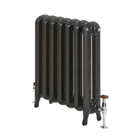 Gusseisen-Heizkörper - 760mm x 588mm,  800W - Schwarz - Erté