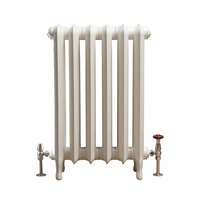 Gusseisen-Heizkörper - H 760mm x B 509mm x T 185mm - Antikes Weiß - Erté