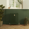 Gusseisen-Heizkörper - Höhe 760mm,  Breite auswählbar - Duck Green W55 von Farrow & Ball - Isabel