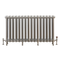 Gusseisenheizkörper (2 Säulen) 760mm x 1299mm - Silber - Erté