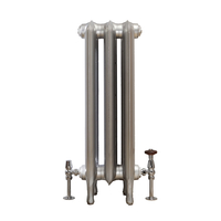 Gusseisenheizkörper (2 Säulen) 760mm x 272mm - Silber - Erté