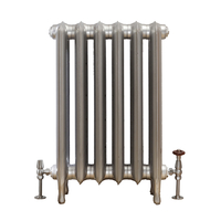 Gusseisenheizkörper (2 Säulen) 760mm x 509mm - Silber - Erté